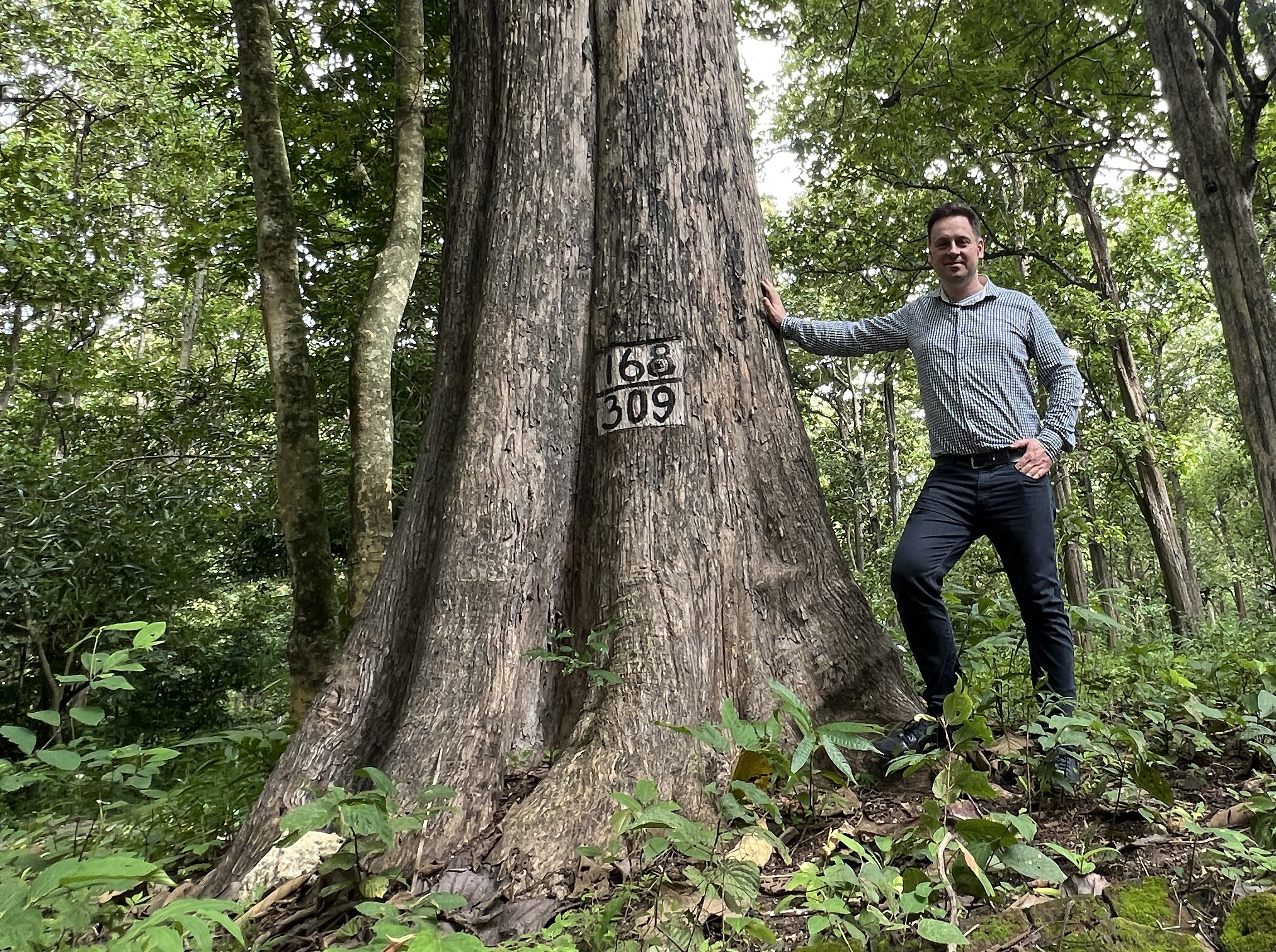Richard Hövelmann (Inhaber) steht neben einem Teak-Baum im indonesischen Wald